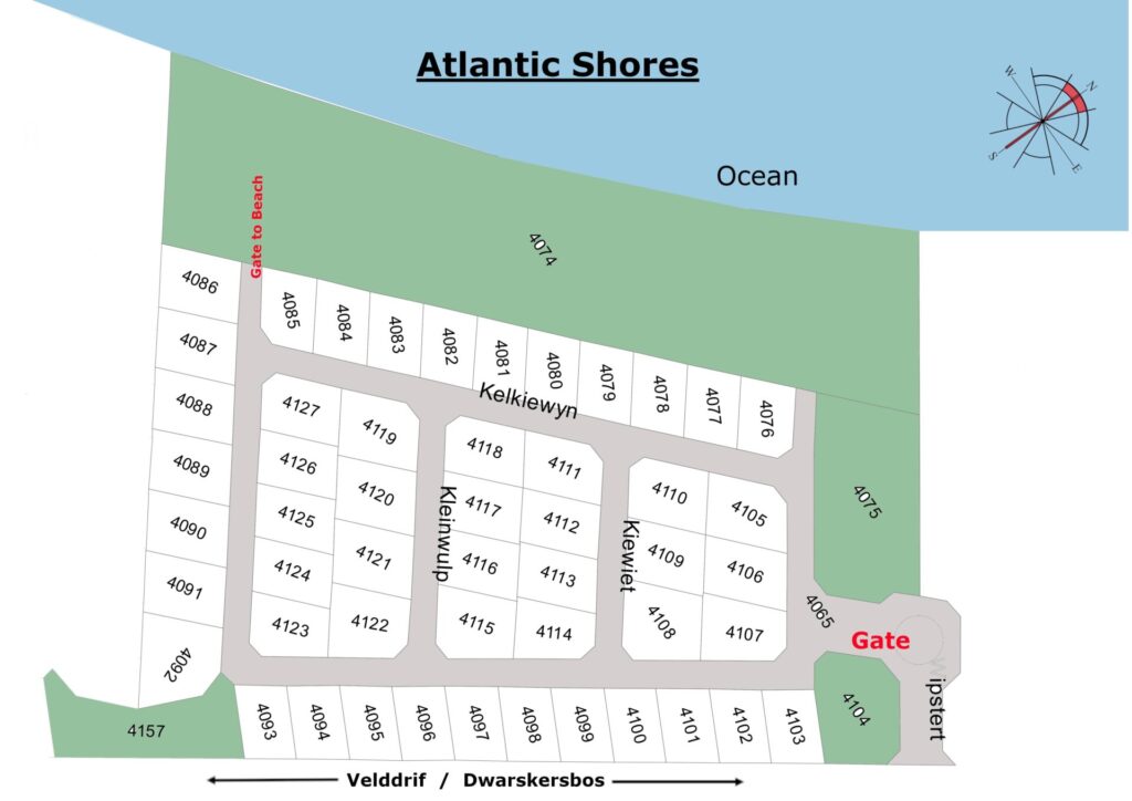 Shores - Project O - 25-04-2025 Opt