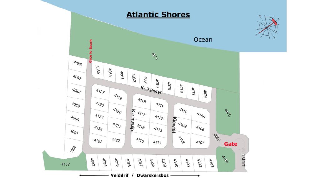 Shores - Thumb - Prtoject O - 25-04-2025 Opt